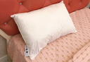 拉芙菲尔五星级酒店枕头抑菌可水洗成人家用高弹枕芯双人中枕对装 实拍图
