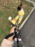 甜浪海狗绳牵引绳中小型犬遛狗胸背带项圈猫咪牵引绳宠物用品M码 实拍图
