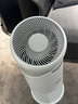 呼博士空气净化器除甲醛抗菌抗病毒除异味花粉过敏pm2.5二手烟过滤新房家用大风量循环扇 42102 实拍图