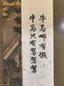 九阳适用九阳净水器水龙头滤芯家用厨房净水机JYW-T01/T02/T03滤芯 买82 共10支装 实拍图