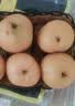 山姆大叔 山东晚秋梨【闪送】冰糖梨子年货礼盒水果礼盒装 【精品果】单果250-350g｜超甜 9斤装【蕞划算-全家分享】净8.5 实拍图