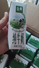 伊利【新鲜日期】金典纯牛奶早餐奶整箱250ml*16盒 3.6g乳蛋白 礼盒装 实拍图