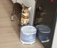 霍曼（Homerun）宠物双无线饮水机BF21 自动饮水器猫咪饮水机无线续航自由摆放 实拍图