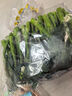 京鲜生（供港基地）芥兰苗250g(长度≤15cm) 实拍图