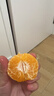 京逸海南菠萝蜜黄肉干苞新鲜水果当季孕妇木波罗蜜三亚热带水果一整个 8-12斤【果肉少尝鲜可选】 实拍图