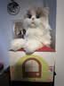 Chongker宠客仿真玩偶趴姿布偶猫咪公仔毛绒娃玩具送女生儿童生日新年礼物 白色裸猫 35*20*23 实拍图