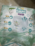 帮宝适超薄透气清新帮拉拉裤新生儿婴儿尿不湿尿片透氧Pro XL62 实拍图