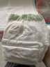 babycare金山茶花拉拉裤XXXXL26片(＞19kg)婴儿尿不湿超薄透气轻柔花苞裤 实拍图