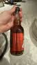 齐藤日本进口广岛玻璃瓶碳酸饮料齐藤可乐柑橘味可乐330ml*20整箱 实拍图