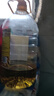 金龙鱼 食用油 非转基因 物理压榨玉米油6.18L（蕴含植物甾醇） 实拍图