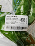 青椒约400g 实拍图