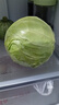 山东寿光新鲜青甘蓝卷心菜新鲜包菜青绿卷心菜手撕包菜爆炒 寿光甘蓝2斤（净重1.8斤） 实拍图