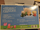 小猪佩奇玩具恐龙玩偶睡衣换装公仔娃娃儿童玩具3-6岁毛绒玩具生日礼物 实拍图