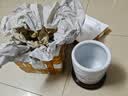 景韵雅成景德镇陶瓷笔筒摆件办公室装饰收纳盒高档瓷器青花瓷工艺品送老师 特大号雪景+双层旋转底座 实拍图