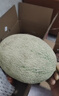 京鲜生 海南哈密瓜西州蜜 净重4.5-5斤 2粒装 单果2斤起 源头直发包邮 实拍图