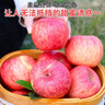 京鲜生 烟台红富士苹果 8粒装 单果160-190g 生鲜水果 实拍图