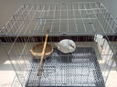 憨憨宠 鸽子笼 家用养殖鸟笼子特大号繁殖笼折叠配对笼大型带隔断鸽子窝 600# 可折叠鸽子笼 银色 实拍图