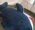 名创优品（MINISO）海洋系列鲨鱼公仔趴姿毛绒玩具娃娃睡觉室内卧室办公室生日礼物 实拍图
