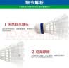 YONEX尤尼克斯羽毛球日本进口尼龙球塑料球耐打王稳定训练比赛球羽毛球 M250 黄色 高性价比 6只装 1筒 实拍图