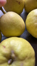 京鲜生 新疆库尔勒香梨 净重10斤 一级 单果100-120g 生鲜水果 实拍图