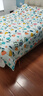 雅鹿·自由自在A类抗菌纤维被子被芯秋冬天季单双人褥棉被4斤200x230cm繁花 实拍图