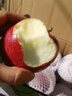 京鲜生 甘肃天水花牛苹果 又大又红 6粒尝鲜装 单果160-190g 生鲜水果 实拍图