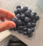 怡颗莓Driscoll's 云南蓝莓Jumbo大果18mm+ 4盒约125g/盒 新鲜水果 实拍图