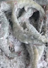 沃鲜汇 大虾海虾生鲜厄瓜多尔白虾南美对虾大青虾海鲜水产进口鲜活速冻 30/40规格（15-18cm） 1.65kg(净重)  盐冻款【净重3.3斤 只只分离】 实拍图