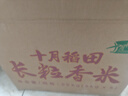 十月稻田 2025年新米 长粒香大米 10斤（东北大米 香米 5公斤/十斤） 实拍图