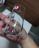 青苹果白酒杯二两杯刻度分酒器玻璃酒壶6只 家用饭店用 实拍图
