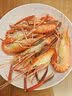 赴鲜记熟冻原味罗氏沼虾 即食虾 苏州特产 露营食材6-8只/盒（600g） 实拍图