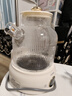 OIDIRE（偶点）全玻璃养生壶 花茶壶无胶水煮茶壶 煮茶器办公室恒温养生壶烧水壶电热水壶炖煮智能保温 1L 升级款丨电陶加热（带茶漏）·云柔白 实拍图