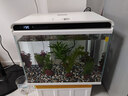 森森 超白玻璃智能桌面鱼缸一体缸自循环HE-480 实拍图