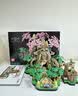 乐高（LEGO）77092 德库树 2in1 塞尔达传说收藏款男女孩积木玩具生日礼物  实拍图