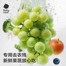 babycare奶瓶奶嘴清洗剂 婴儿餐具果蔬清洁剂 谷物酵素清洗液 补充装400g 实拍图