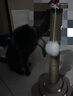 HELLOJOY猫抓柱剑麻猫抓板猫玩具耐抓耐磨不掉屑猫爬架立式自嗨解闷用品 实拍图