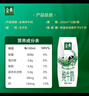 伊利【新鲜日期】金典纯牛奶早餐奶整箱250ml*16盒 3.6g乳蛋白 礼盒装 实拍图