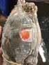 红膏呛蟹整只即食酱母蟹宁波特产炝蟹梭子蟹咸蟹螃蟹生腌海鲜醉蟹 【单只净重3-4两】4只 老底子 实拍图
