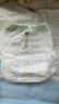 babycare金山茶花拉拉裤L38片(9-14kg)婴儿尿不湿超薄透气新生柔花苞裤 实拍图