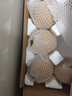 京鲜生山东烟台莱阳秋月梨净重8斤 单果300g+ 生鲜水果 源头直发包邮 晒单实拍图