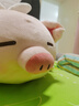 名创优品（MINISO）小猪B-BO翅膀款趴毛绒公仔玩具玩偶抱枕娃娃生日三八节女神礼物 实拍图