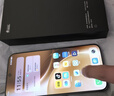 vivo X300 Pro 蔡司2亿APO超级长焦 蓝图自研影像双芯 持久流畅OriginOS 6 直屏拍照手机 大内存性价比 旷野棕 16GB+1TB 官方标配 实拍图