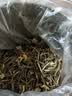 匠界茉莉花茶浓香型2026新茶花茶茉莉针王白毫银针送礼200g中秋送礼 实拍图