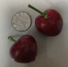 京鲜生 大连美早樱桃 车厘子 3J级巨无霸 1斤装 单果12g+ 生鲜水果 实拍图