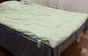 南极人A类大豆纤维被子春秋1.5x2米单人被芯冬季棉被加厚保暖被褥空调被 提花皱皱纱-白拼浅绿【大豆填充蓬松舒适】 150x200cm春秋被【约4斤】 实拍图