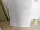 锦汐 椰棕床垫可折叠榻榻米床垫席梦思棕榈床垫棕垫硬薄宿舍家用垫子 3E椰棕总厚约5cm-白色-折叠款 1.5米*2米 实拍图