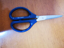 得力(deli)160mm办公生活家用剪刀 小剪子手工剪纸刀 办公用品 蓝色0602 实拍图