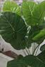 双盟18头仿真滴水观音盆栽人造绿植盆栽假花装饰假植物花卉客厅 实拍图