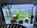 YEE超白鱼缸桌面客厅生态斗金鱼乌龟缸造景小型水草养鱼玻璃裸缸40cm 实拍图