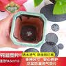 德沃多花盆加厚圆形垫片透气防烂根多肉专用花盆垫片防漏土透气垫 实拍图